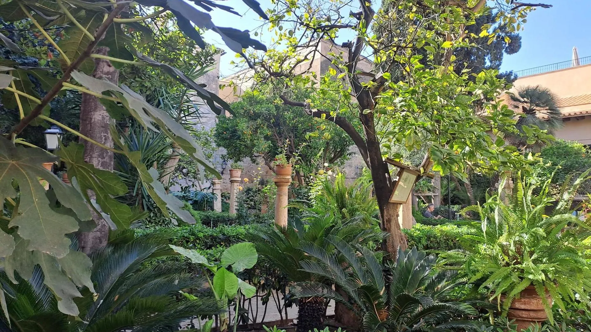 Appartement Mystique à Palma Séjour chez l'habitant